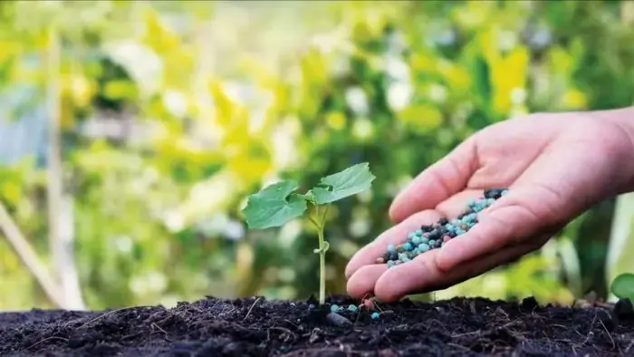 Tháo gỡ nút thắt để 'xanh hóa' ngành hóa chất